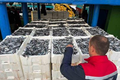 Didim’de su ürünleri avcılığı denetimleri sürüyor