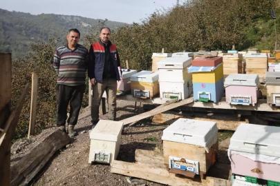 Düzce’de 4 köyde arılı kovan sayımı yapıldı