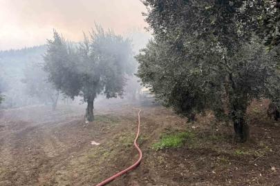 Erdek’te zeytinlik içerisindeki müstakil evde yangın çıktı