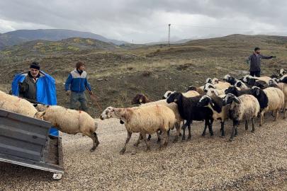 Erzincan’da yayla sezonu sona erdi, dönüş yolculuğu başladı