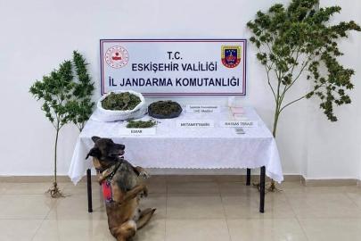 Eskişehir’de uyuşturucu operasyonu: 1 tutuklama