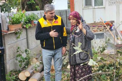 Evin üzerine devrilen ağaç kaldırıldı