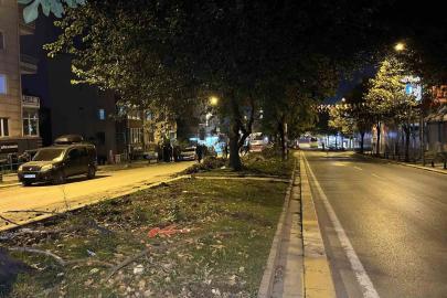 Eyüpsultan’da ağaç kesimi iddiaları sonrası vatandaşlardan İBB’ye tepki
