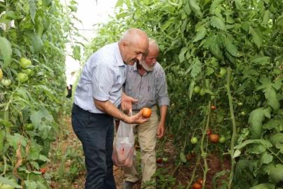 Gebze Belediyesinden çiftçilere tarımsal üretim desteği