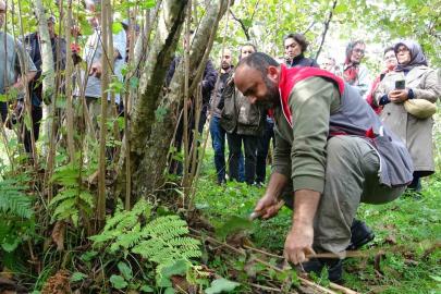 Giresun’da fındıkta verimi artırmak için üreticilere uygulamalı budama eğitimi veriliyor