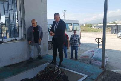 Hatay’da kaliteli zeytinyağı üretimi için hasat uyarısı