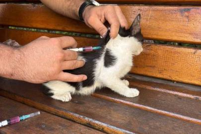Hayvan dostu GKV’li öğrencilerden örnek davranış