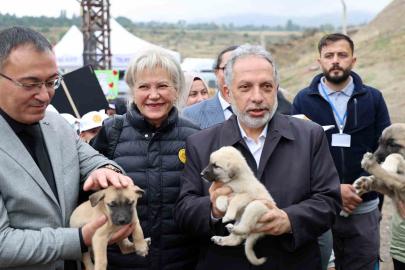 Hayvanları Koruma Günü, Talas Pati Evi Doğal Yaşam Alanı’nda kutlandı