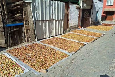 Hisarcık’ta elma kurusu fiyatı düştü, üretici yükseliş bekliyor