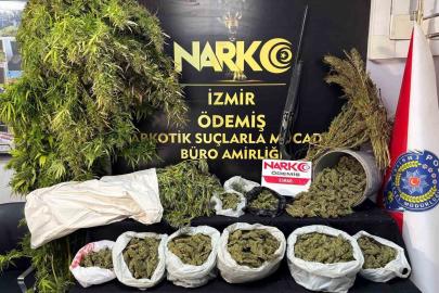 İzmir polisinden uyuşturucu baskınları: 7 kilo esrar ve binlerce hap ele geçirildi