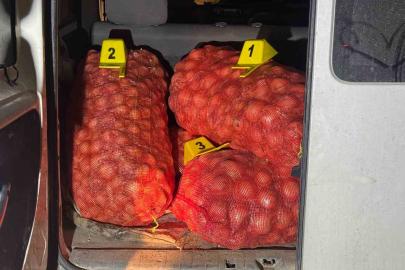 Jandarma soğan hırsızlarını suçüstü yaptı
