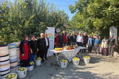 Kahramanmaraş’ta ayva üreticilerine hasat desteği