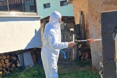 Kahverengi kokarcaya karşı kışlak mücadele