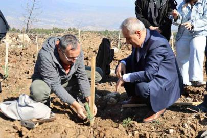 Karabük’te 250 fidan toprakla buluştu