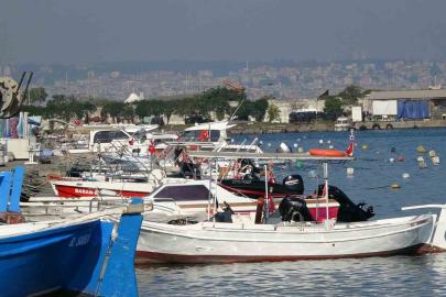 Karadeniz’de palamut alarmı: "Önüne ne gelirse yiyor, bir an önce hepsinin tutulması gerekiyor"