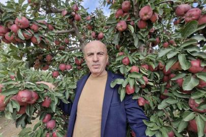 Karaman’da elmada rekolte yüksek olunca fiyatlar geriledi