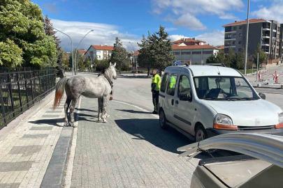 Karaman’da firari atın otomobile çarptığı anlar kameraya yansıdı