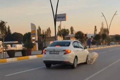 Karayoluna fırlayan 3 keçi aracın çarpması sonucu telef oldu