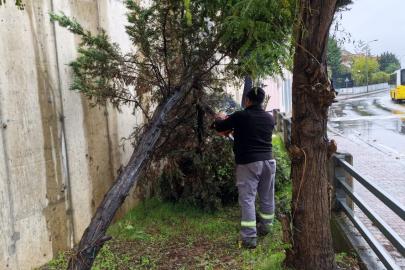 Kartal Belediyesi ekipleri şiddetli yağış ve fırtınaya karşı sahada