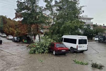 Kastamonu’da fırtına çatıları uçurdu, ağaçları devirdi
