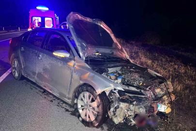 Kastamonu’da otomobil domuz sürüsüne çarptı: 2 yaralı