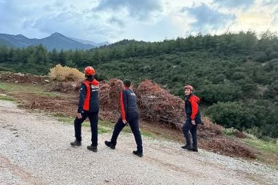 Kayıp yaşlı kadın ormanlık alanda aranıyor