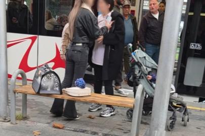 Kediye vurma tartışması itiş-kakışa döndü