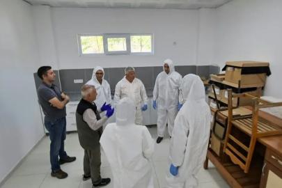 Kestane gal arısına karşı biyolojik mücadele güçlendiriliyor