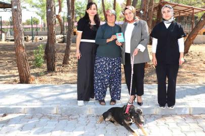 ’Kopi’ yangının ardından yeni yuvasına kavuştu