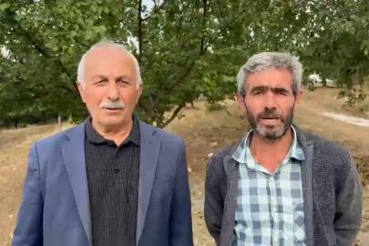 Kurttan kaçan keçi dağlık bölgede mahsur kaldı