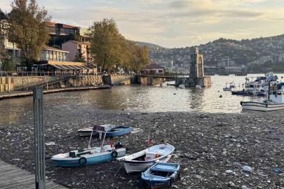 Limanda şaşırtan görüntü