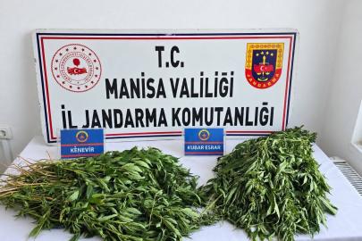 Manisa’da uyuşturucu operasyonları: 3 tutuklama