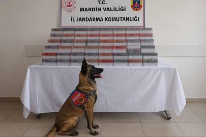 Mardin’de 8 milyon lira değerinde kaçak ürün ele geçirildi