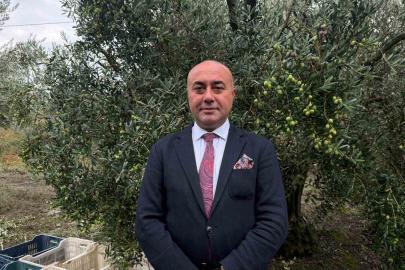 Marmarabirlik’ten 60 bin tonluk alım planı...Türkiye’de zeytinde rekor rekolte beklentisi