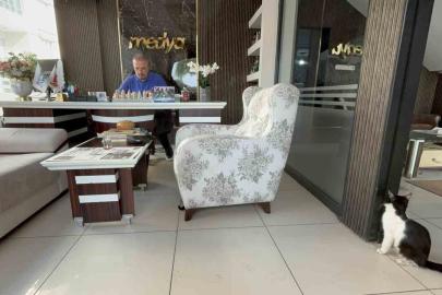 Matbaanın kapılarını sokak kedilerine açtılar