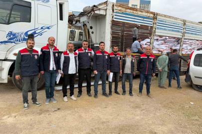 Mazıdağı’nda 167 çiftçiye 40 ton mercimek tohumu desteği