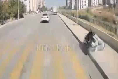 Motosikletin direğe çarptığı kaza kamerada
