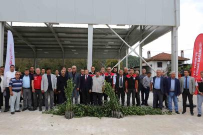 Muğla’da Defne ihracatından 75 milyon dolar bekleniyor