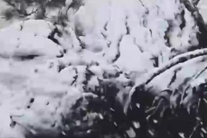 Muğla’ya sezonun ilk karı yağdı