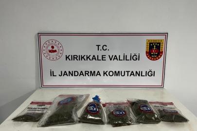 Narkotik köpeği "Evin" uyuşturucuyu tespit etti: Bahçede kenevir ve esrar ele geçirildi