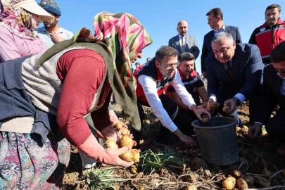 Niğde’de yerli patates çeşitlerinin hasadı yapıldı