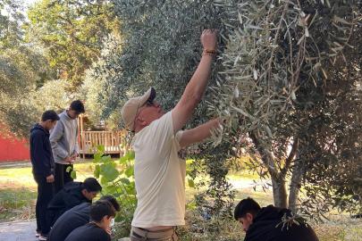 Nihal Erdem Anadolu Lisesi öğrencileri ihtiyaç sahibi arkadaşları için zeytin topladı