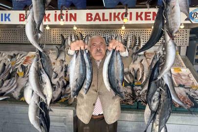 Palamutta bereket, kilosu 100 TLl’ye düştü