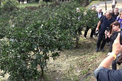 Rize gastronomisi sofradan sağlığa yeni bir hikâye yazıyor