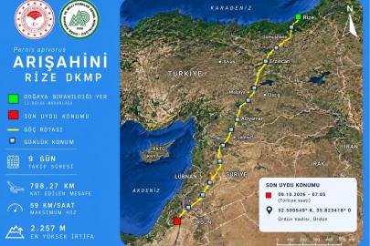 Rize’de doğaya salınmıştı, 9 günde Ürdün’e ulaştı