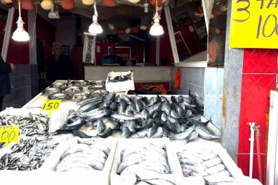 Rize’de palamutun 3 tanesi 100 TL’den satılıyor