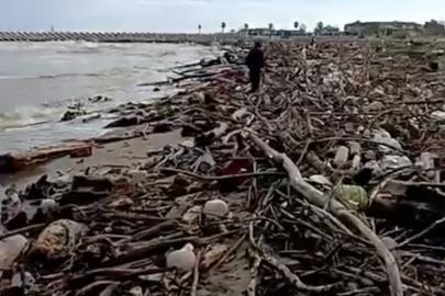 Sağanak sonrası Sakarya Nehri’nden sürüklenen dal ve çalılar sahile vurdu