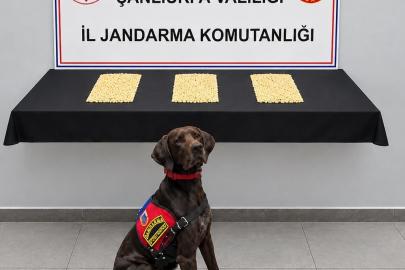 Şanlıurfa’da 2 bin 970 Captagon hap ele geçirildi