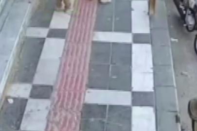 Şanlıurfa’da iki kız kardeşinin çantasını sırtlayan ağabey kamerada
