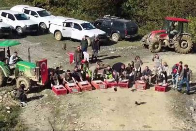 Sinop’ta 550 sülün doğaya salındı